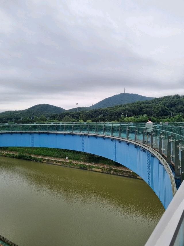 아라뱃길 수향4경, 아라마루 전망대