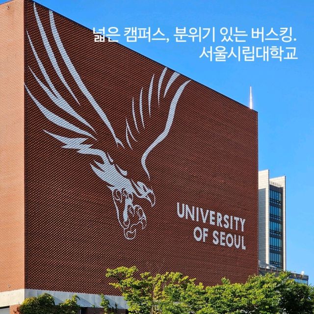 산책하기 좋은 대학교🎓서울시립대