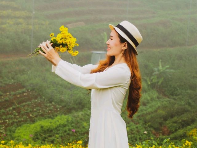 สวนดอกไม้ดอยช้างแป้ #พิกัดม่อนแจ่ม จ.เชียงใหม่