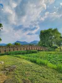 영광의 대표적인 여행지 불갑사 테마공원🌲
