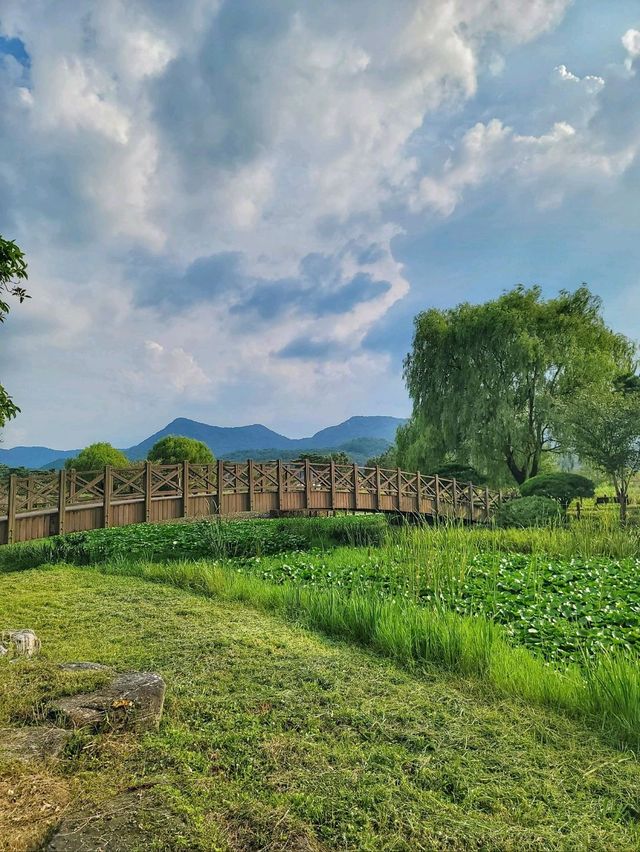 영광의 대표적인 여행지 불갑사 테마공원🌲