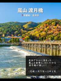 【京都】日本屈指の紅葉スポット！絶景7選