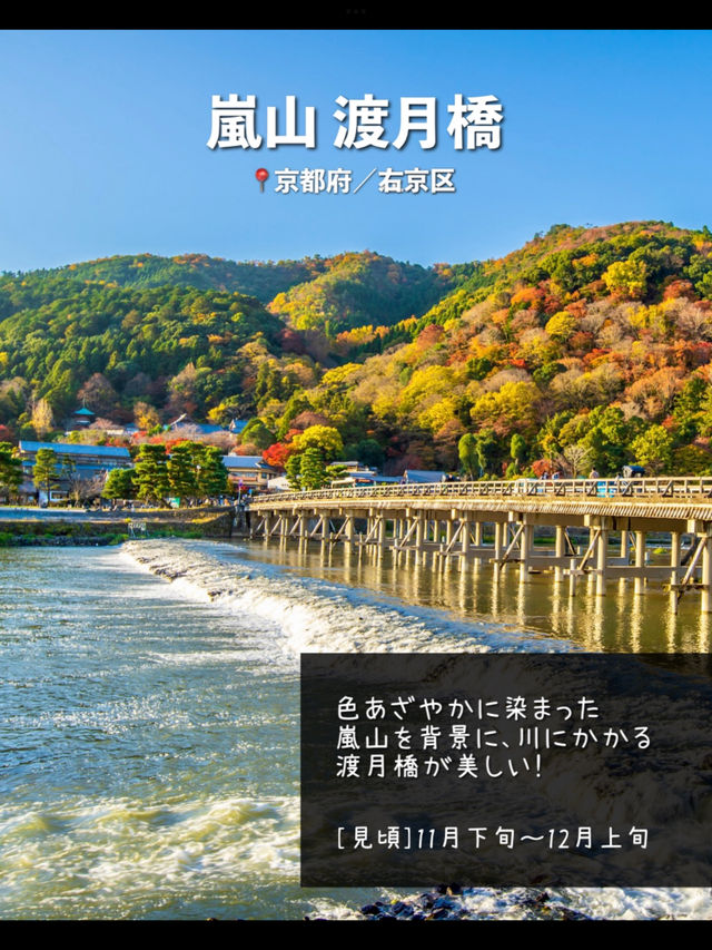 【京都】日本屈指の紅葉スポット！絶景7選