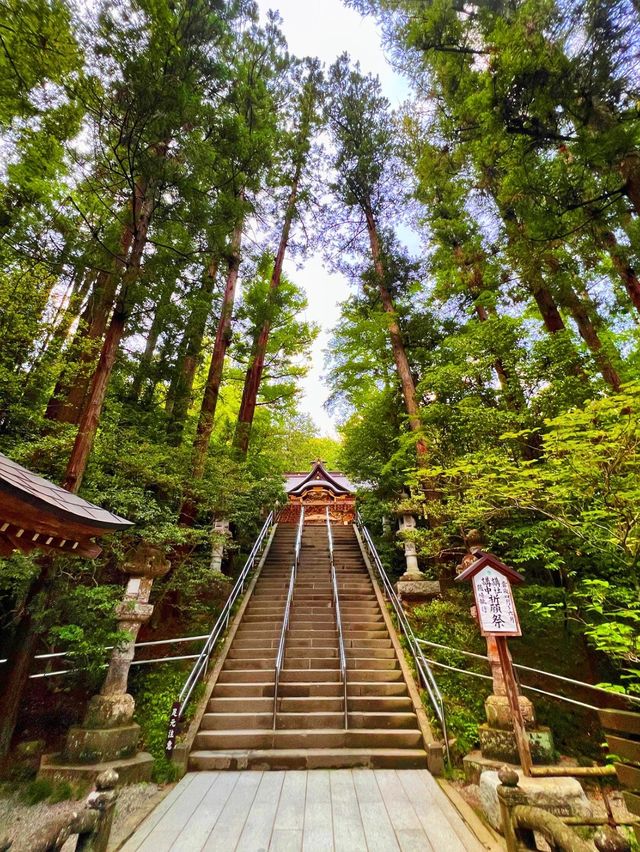 【長瀞】ミシュランガイドで一つ星を獲得した宝登山神社