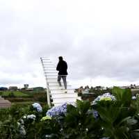  🪻Garden Hydrangeas Dalat ไม่มาถือว่าพลาดมาก