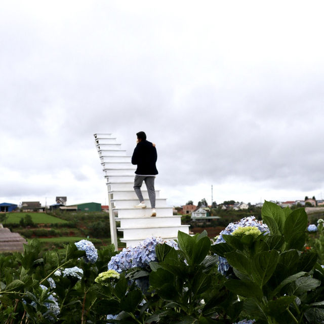   🪻Garden Hydrangeas Dalat ไม่มาถือว่าพลาดมาก