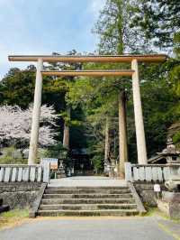 【群馬県/三夜沢赤城神社】2023年行ってよかった！群馬県の神社⑤