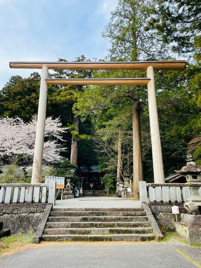 【群馬県/三夜沢赤城神社】2023年行ってよかった！群馬県の神社⑤
