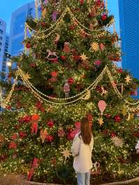 서울 겨울 당일여행으로 꼭 가야하는 핫스팟🎄