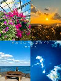 【保存版】羽田から55分✈️常春の島で絶景を満喫🏝八丈島2泊3日モデルコース