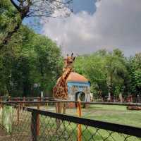 The Surabaya Zoo(KBS)