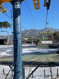 首爾出發首爾大公園一日遊❣️親子活動必到🤓市區親親大自然