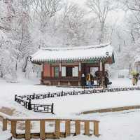 The Beauty of Changdeokgung palace in winter 