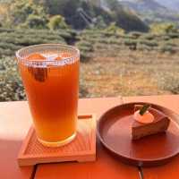 景美山林茶園&山月茶屋/桃園寵物友善網美景點