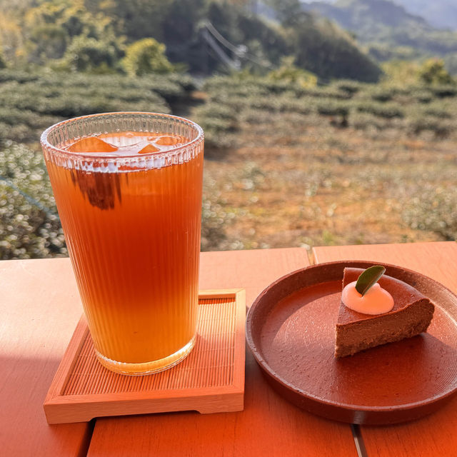 景美山林茶園&山月茶屋/桃園寵物友善網美景點