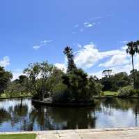 Beautiful Royal Botanic Garden in Sydney