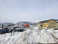 Tsugaike Mountain Resort