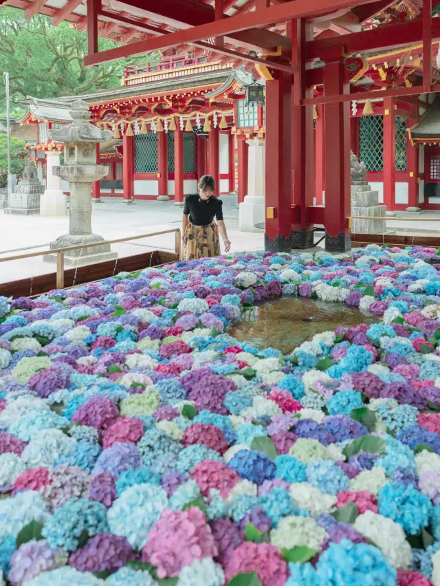 【福岡】今年こそ！紫陽花の時期の太宰府がおすすめ