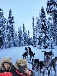 รีวิวกิจกรรมหมาลากเลื่อน#DogSleddingInKiruna
