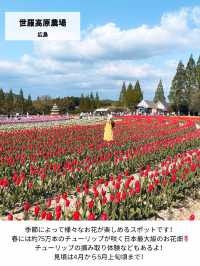 【日本の絶景】春休みからGWまで見頃あり！西日本のお花見おすすめスポット！