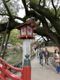 梅が綺麗に咲く福岡の太宰府天満宮