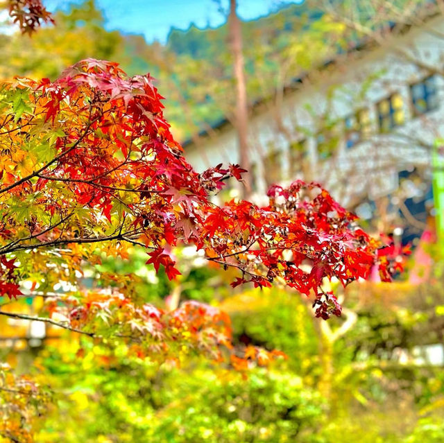 岐阜公園