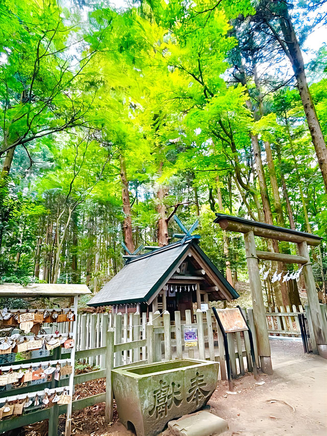 【寶登山神社/埼玉県】寶登山山頂にある存在感放つ聖地