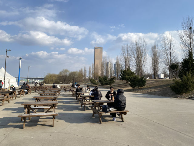 Chill day at Hangang Park Seoul