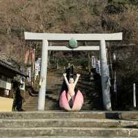 日查最可愛既穩世神社 ⛩️《桃太郎神社》