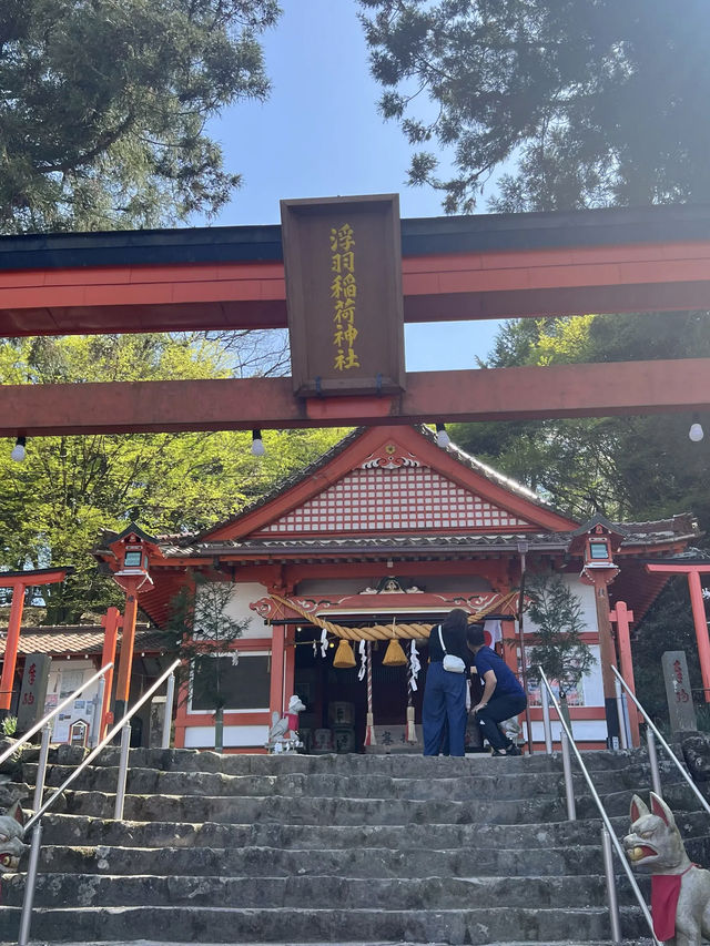 【うきは観光】桜の季節がオススメな山の上の絶景スポット