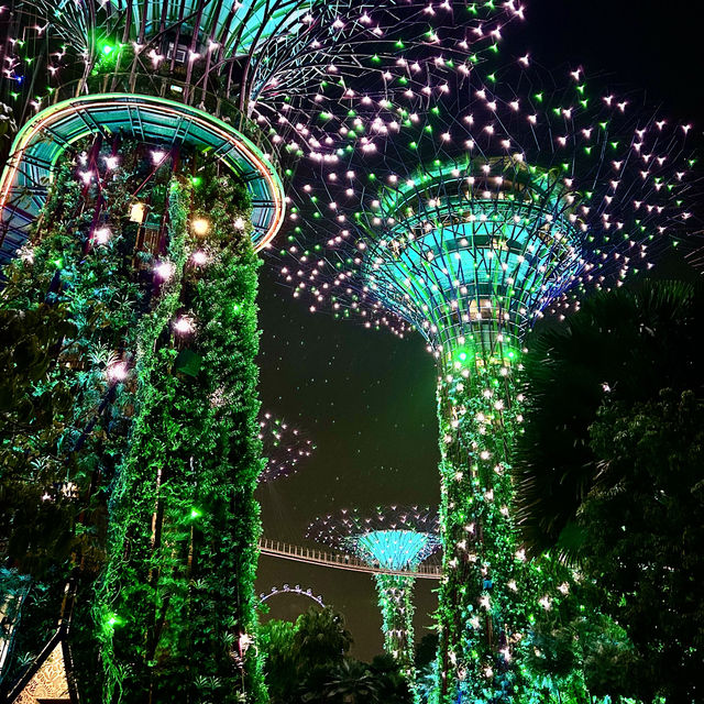 가든스 바이 더 베이, 싱가폴의 낮과 밤을 즐기다.🇸🇬