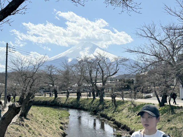 CoStudio | 忍野八海 - 桜の美しさに包まれた場所🌸✨