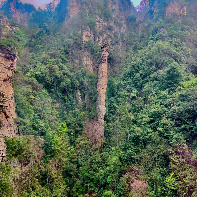 😍 2 perfect days itinerary in Zhangjiajie National Park (Avatar mountains) 🩵 route recommendation 