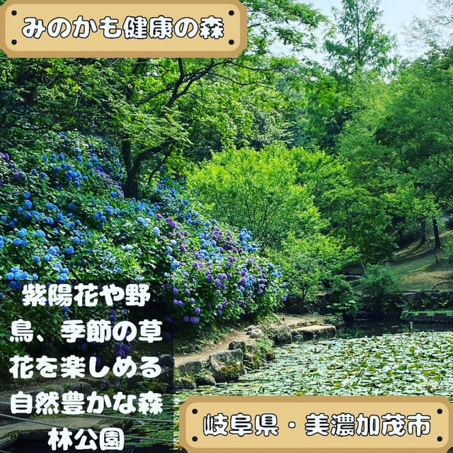 みのかも健康の森