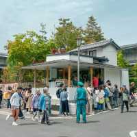 Spring in Arashiyama 1-day trip🌸🎋