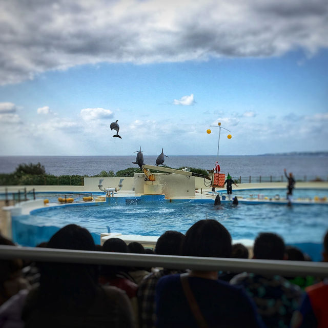 沖縄の美ら海水族館