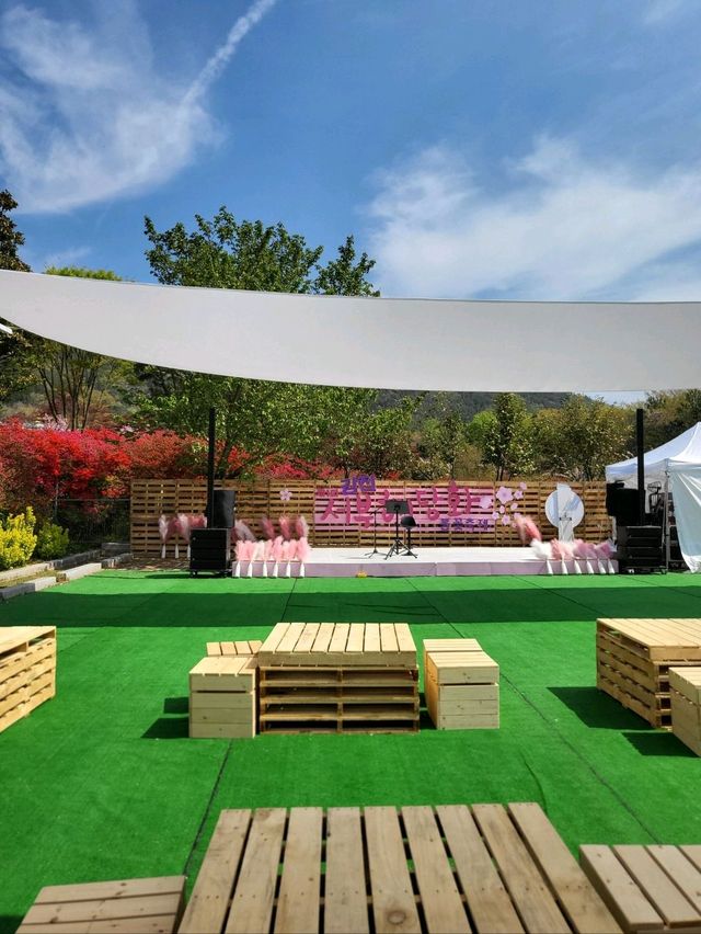 제1회 서부해당화 봄꽃축제🌸
