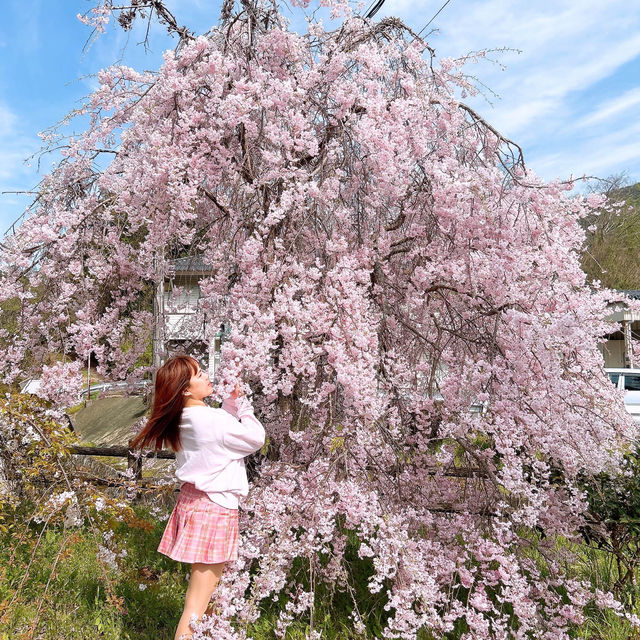 広島県　三原市　御調八幡宮