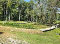 Air Panas Paku ( Paku Hotspring )