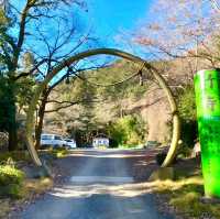 【医王山薬寿院 八王寺/埼玉県】ユーモラスな願いを叶える⁉︎寺院