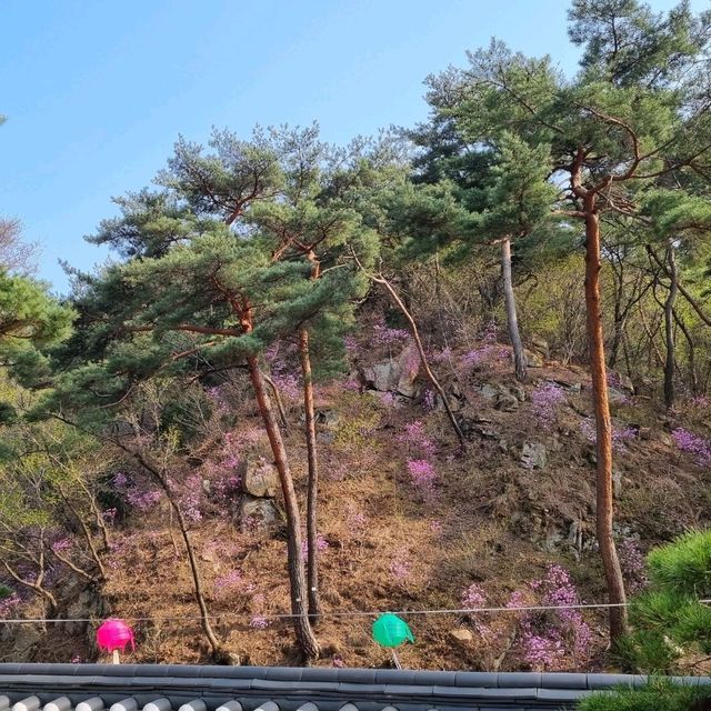 Beauty in serenity at Jingwansa, north of Seoul