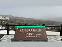八幡平國家公園 Hachimantai Aspite Line雪牆開放了