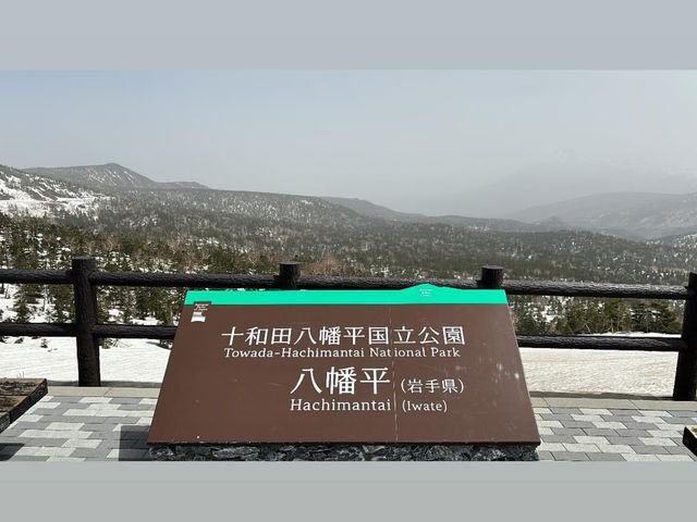 八幡平國家公園 Hachimantai Aspite Line雪牆開放了
