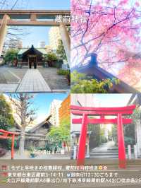 【東京】河津桜とミモザと神社