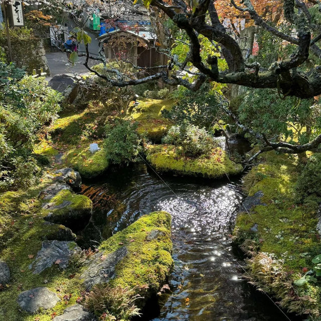 「大阪五風莊庭園：傳統日式庭園，感受日本韻味」