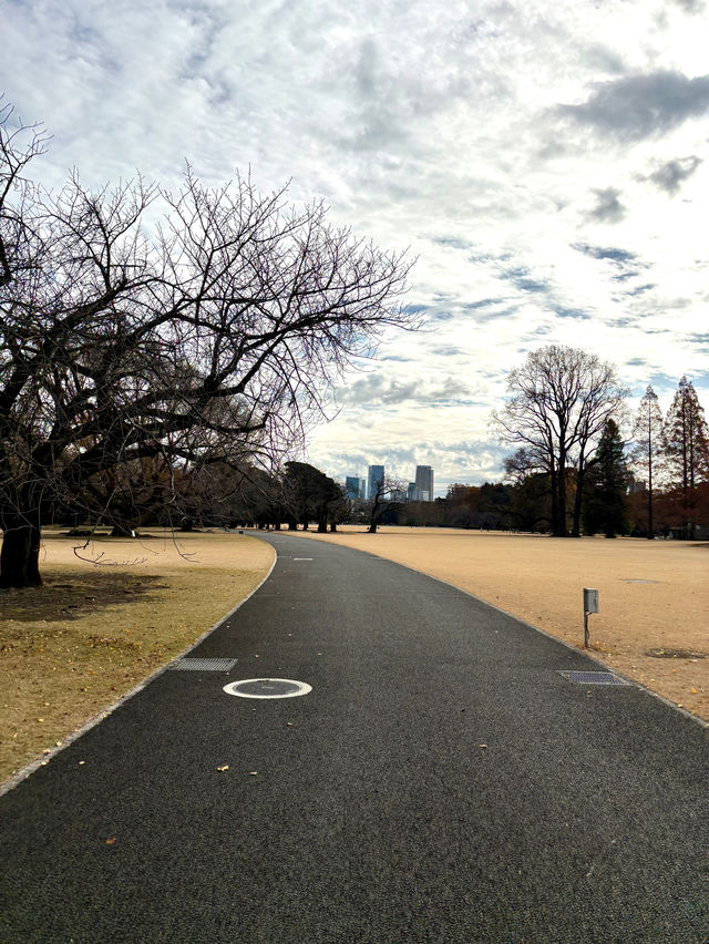 Shinjuku Gyoen National Garden