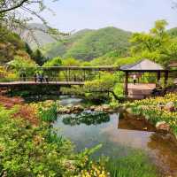 HWADAM BOTANIC GARDEN 관중