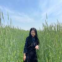 💚5월의 싱그러움과 잘 어울리는 📍안성팜랜드📍로 초대합니다💚