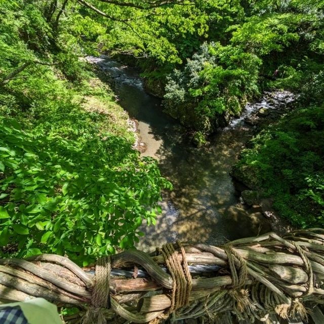 自然の中で癒やされます