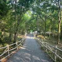 「天理觀光農園～田園畫捲之美！」